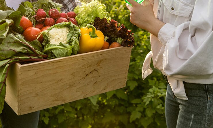 Miruthika Enterprises