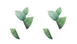 Miruthika Enterprises